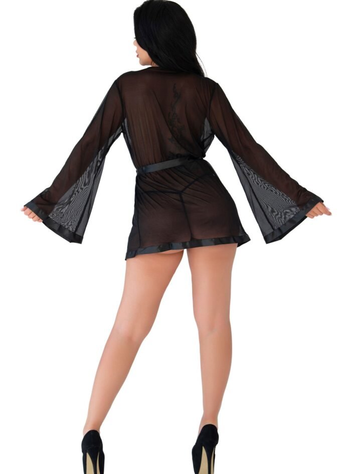 roujebelle-Daring-Intimates-Babydoll-Chemises-Sheer-Kimono-and-String-2